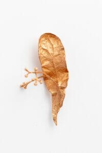 brooch, brož, šperk, lípa, tilia, originální šperky, original jewel, jewellery, leafinside, galvanoplastika, copper, best gift, dárek, na valentýna, vánoční dárek, stylový šperk,