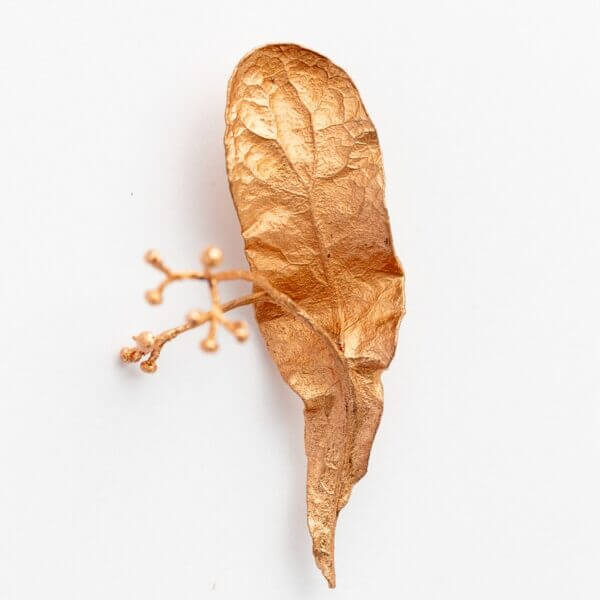 brooch, brož, šperk, lípa, tilia, originální šperky, original jewel, jewellery, leafinside, galvanoplastika, copper, best gift, dárek, na valentýna, vánoční dárek, stylový šperk,