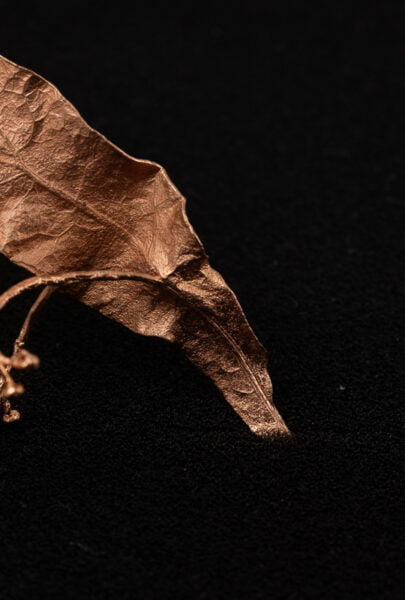brooch, brož, šperk, lípa, tilia, originální šperky, original jewel, jewellery, leafinside, galvanoplastika, copper, best gift, dárek, na valentýna, vánoční dárek, stylový šperk,