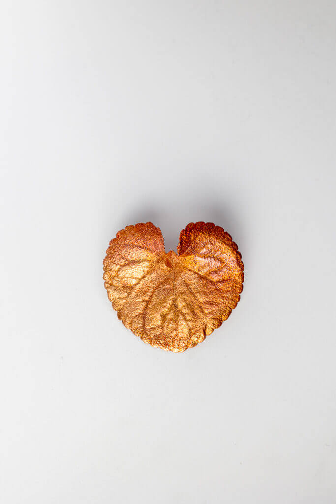 Anthurium Hair Clip N°100 - leafinside - jewellery